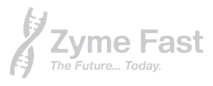 zyme fast