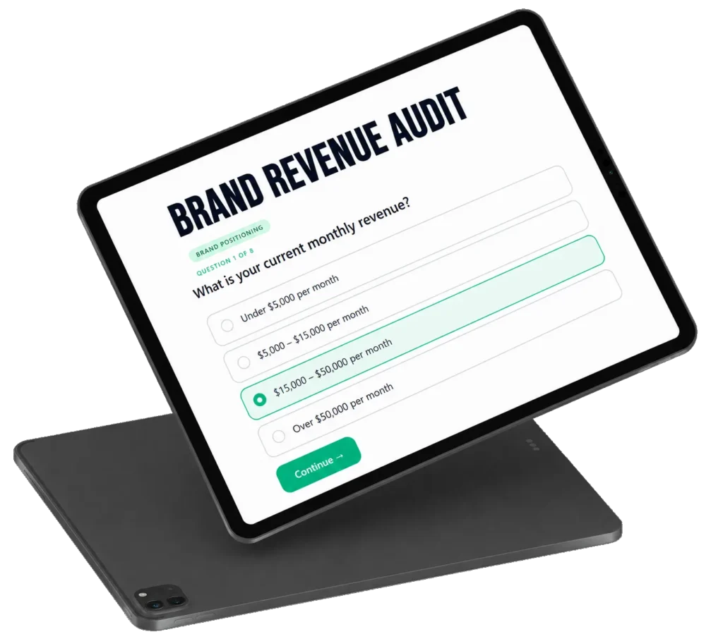 Brand Revenue Audit Mockup